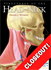 Picture of Structures of the Head and Neck